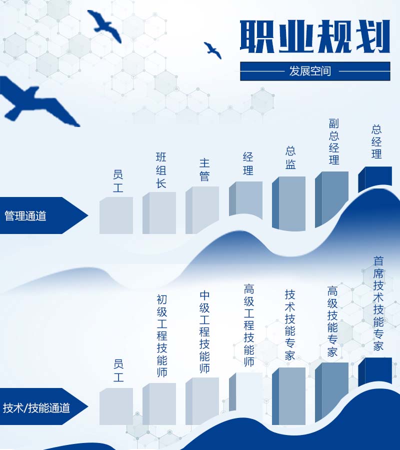 職業(yè)發(fā)展.jpg